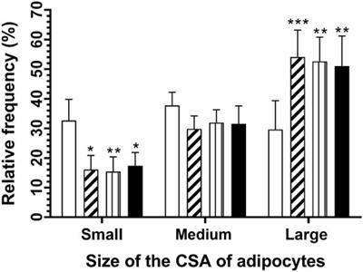 Maternal and Offspring Sugar Consumption Increases Perigonadal Adipose Tissue Hypertrophy and Negatively Affects the Testis Histological Organization in Adult Rats